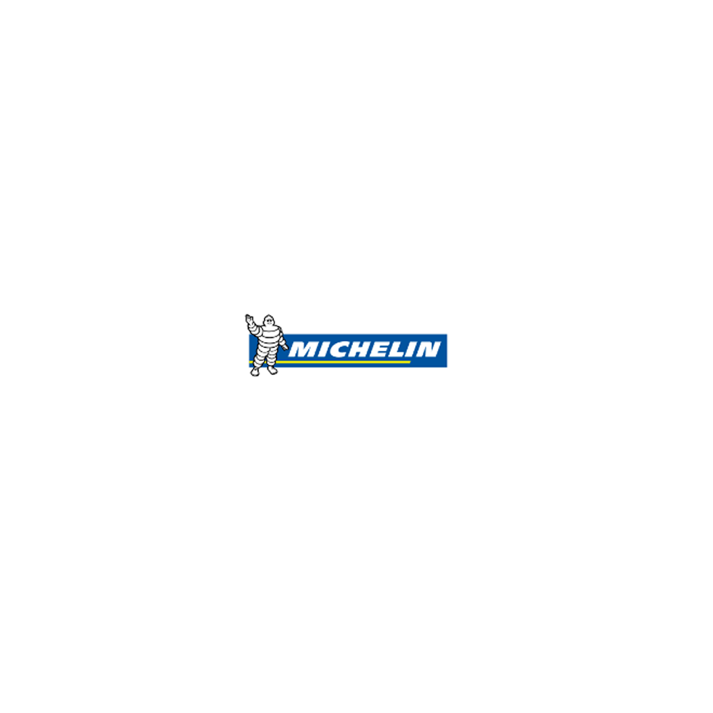 Michelin Pilot Sport Cup  (S) 205/65R16  95T